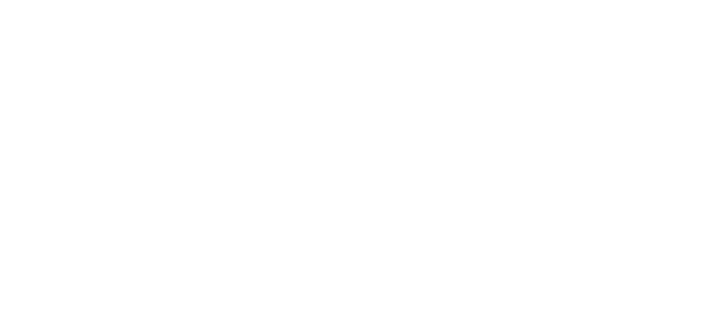 Shoot First
